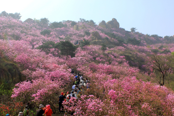 1543919397204928.png image.png